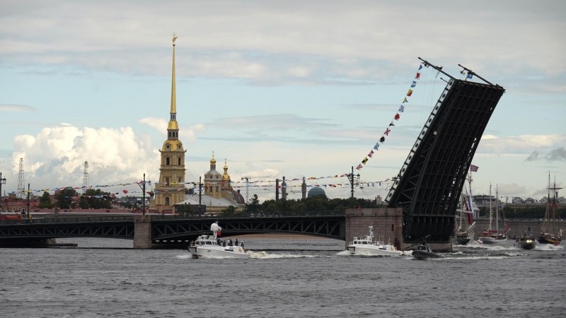 Участников саммита "Россия — Африка" пригласили на парад ВМФ