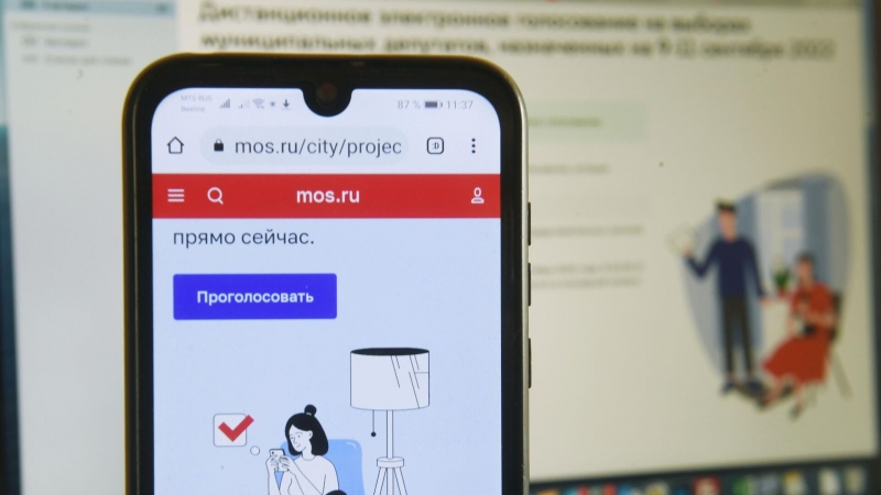 Памфилова призвала информировать о дистанционно-электронном голосовании