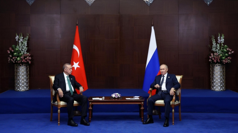 Путин и Эрдоган могут обсудить проект газового хаба в Турции, сообщают СМИ