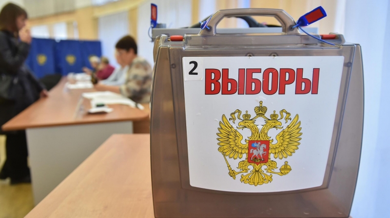 Независимый общественный мониторинг зафиксировал 15 фейков о выборах