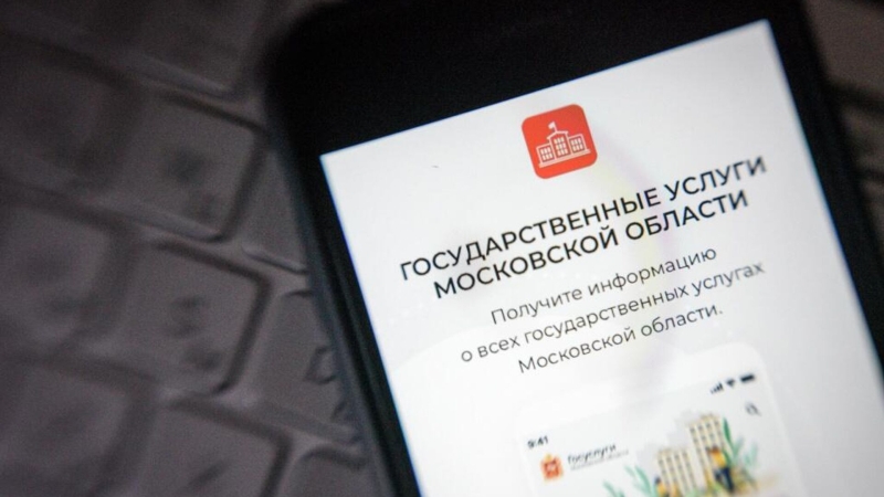 Более трех миллионов россиян воспользовались "Мобильным избирателем"