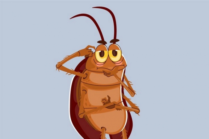 Тараканы вылетят пулей из дома: 7 самых эффективных способов