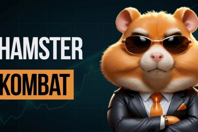 Нижегородка рассказала, как стать миллионером в игре Hamster Kombat