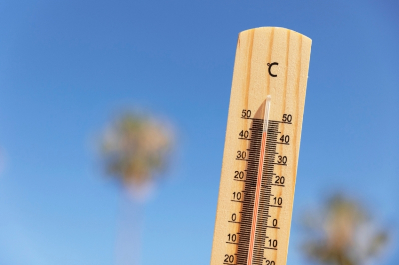 Московский врач Прокофьев предложил простой способ охладиться в жару