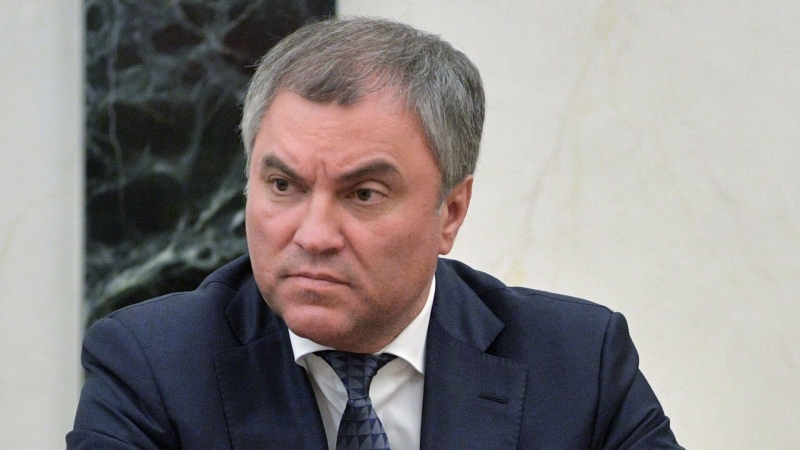 Все политические права в России защищены, заявил Володин