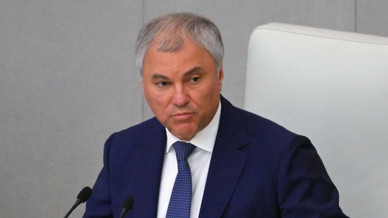 Все политические права в России защищены, заявил Володин