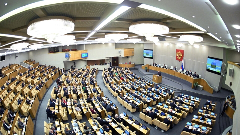Комиссия ГД установила основания для прекращения полномочий депутата Напсо