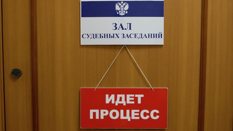 Шульман* обжаловала штраф за участие в нежелательной организации
