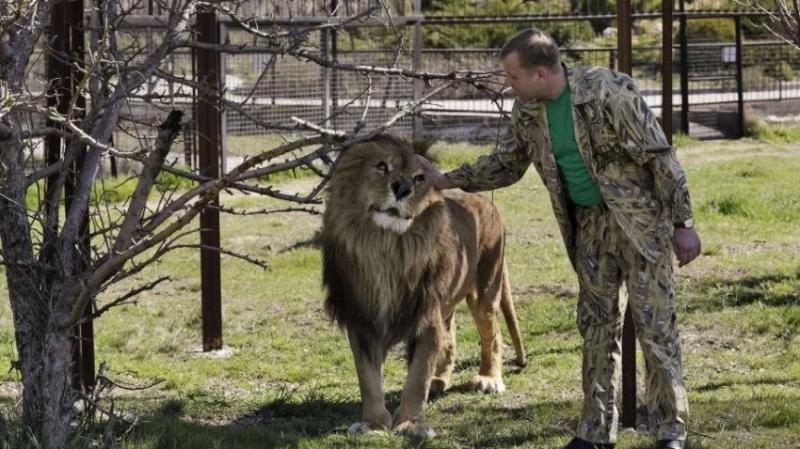 Стало известно нынешнее состояние здоровья Олега Зубкова: свежие детали на 30.06.2025