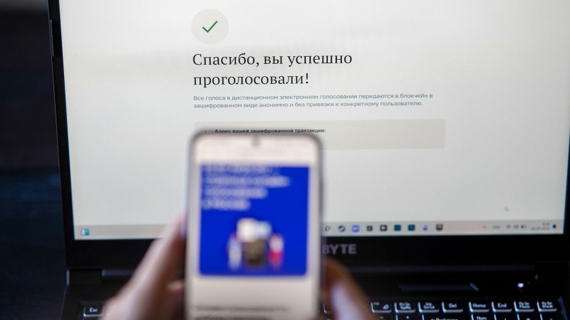 В ЦИК рассказали о дистанционном голосовании на сентябрьских выборах