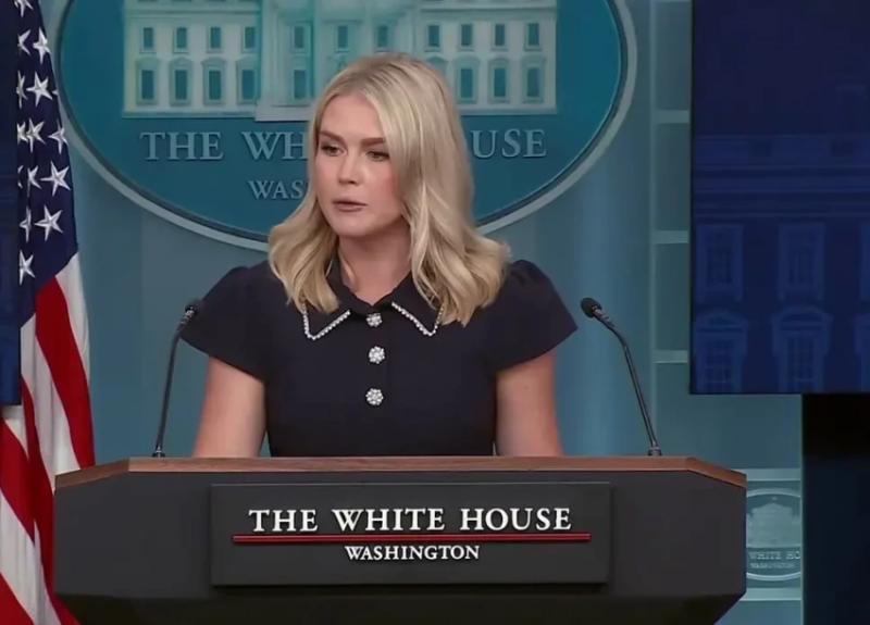 Левитт: Зеленского на встрече президентов США и России не будет
