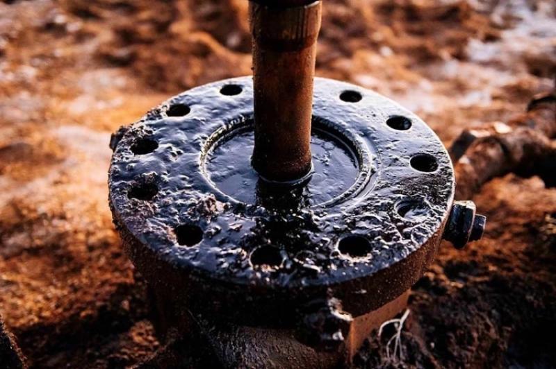 Россия достигнет целей СВО вне зависимости от цен на нефть