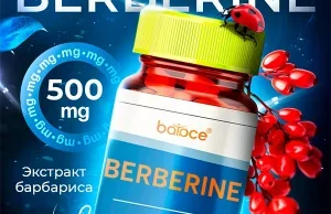 Спортивное питание: путь к максимальной производительности