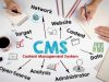 CMS для начинающих: разбираемся в основах управления сайтом